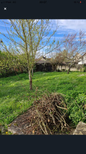Photo de galerie - Tonte de pelouse à Machault (77)