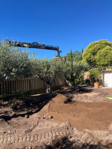 Photo de galerie - Paysagiste - Aménagement du jardin