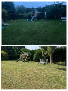 Photo de galerie - Tonte + débroussaillage des bords 