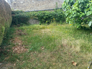 Photo de galerie - Tonte de pelouse - Débroussaillage