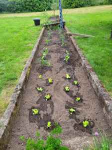Photo de galerie - Paysagiste - Aménagement du jardin