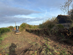 Photo de galerie - Elagage et coupe d'arbres