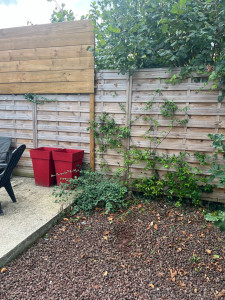 Photo de galerie - Paysagiste - Aménagement du jardin