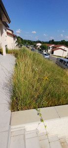 Photo de galerie - Remises en état 