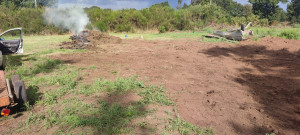 Photo de galerie - Mise à plat de terrain en friche plus de 4 tonnes de pierres évacuées et plusieurs tonnes de terre bougé 