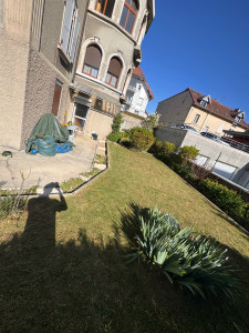 Photo de galerie - Entretien jardin 