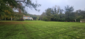 Photo de galerie - Tonte.