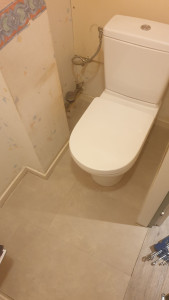 Photo de galerie - Rénovation d'un WC 