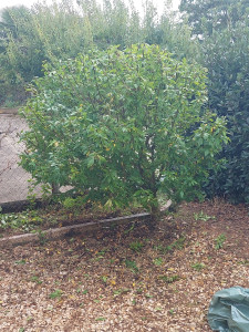 Photo de galerie - Entretien 
