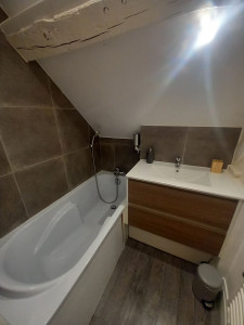 Photo de galerie - Remise en état salle bain pour logement type (air bnb )
