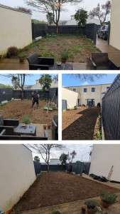 Photo de galerie - Création d'une pelouse complète 