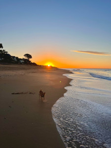 Photo de galerie - Balade au coucher de soleil 