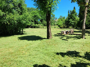 Photo de galerie - Débroussaillage