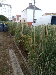 Photo de galerie - ça y est parfaitement des hauteurs 
