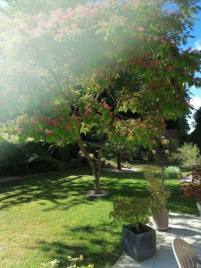 Photo de galerie - Tonte, plantation. 