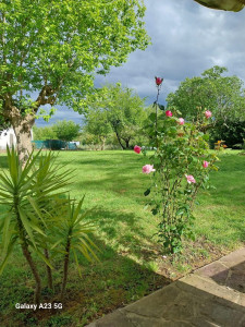 Photo de galerie - Jardin d un client à Monfort en Chalosse 