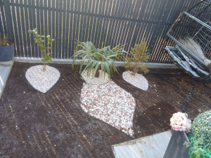 Photo de galerie - Jardin