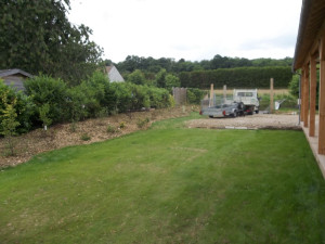 Photo de galerie - Pelouse tondu 