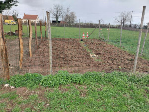 Photo de galerie - Clôture Grillage