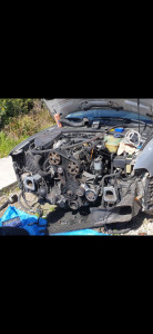 Photo de galerie - Distribution audi A4 b5
