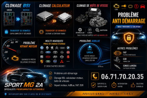 Photo de galerie - Problème Adblue FAP EGR Réparation, Calculateur air bag calculateur, moteur suppression, antidémarrage clone bsi  clone calculateur DSG Boîte automatique programmation clé programmation puissance moteur
