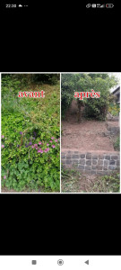 Photo de galerie - Désherbage aménagement du jardin élagage taille de haie