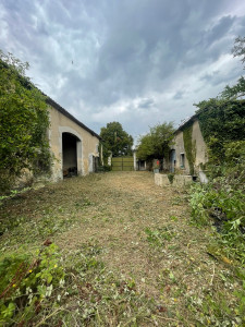 Photo de galerie - Tonte de pelouse - Débroussaillage