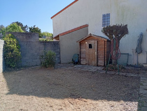 Photo de galerie - Elagage et coupe d'arbres