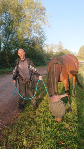 Photo de galerie - Soins des chevaux 