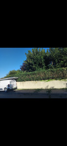 Photo de galerie - Elagage et coupe d'arbres