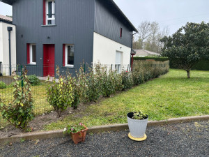 Photo de galerie - Plantation de Haie eleagnus