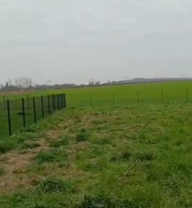 Photo de galerie - Clôture Grillage