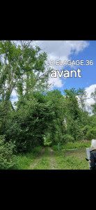 Photo de galerie - Elagage et coupe d'arbres
