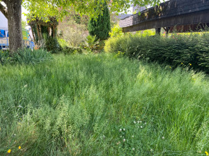 Photo de galerie - AVANT 