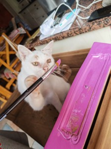Photo de galerie - Julio, petit chat très espiègle qui aime les travaux de décoration 