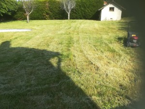 Photo de galerie - Tonte de pelouse - Débroussaillage