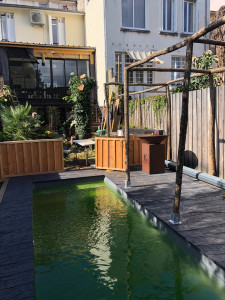 Photo de galerie - Paysagiste - Aménagement du jardin