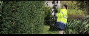 Photo de galerie - Travaux d’espaces verts  tonte taille élagage débroussailler 