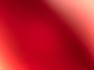 Photo de galerie - I