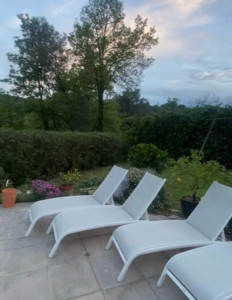 Photo de galerie - Taille de haie 