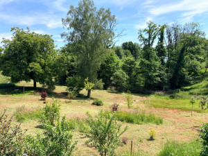 Photo de galerie - Fauche d’un terrain complexe 