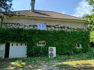 Photo de galerie - Entretien d'une vigne vierge sur façade 