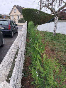 Photo de galerie - Jardinier