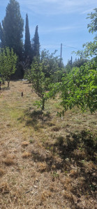 Photo de galerie - Netoyage terrain apre