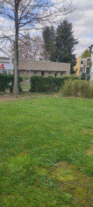 Photo de galerie - Tonte de pelouse 