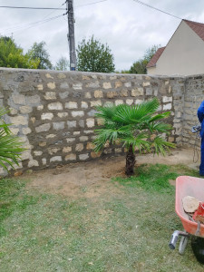 Photo de galerie - Professionnel 