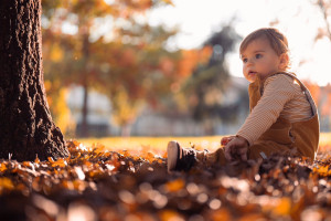 Photo de galerie - Photographe