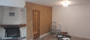 Photo de galerie - Décoration murales a la brosse 